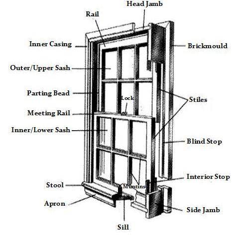 Anatomy_double_hung03