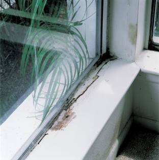 sill_damage